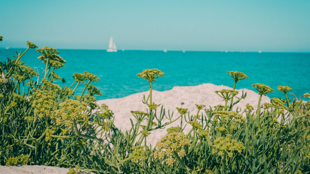 Les joies du camping en famille sur l'île de Ré